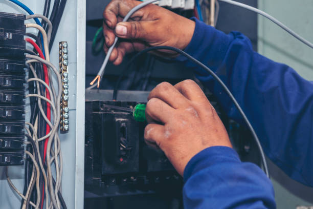 Best Electrical System Inspection  in Llano Grande, TX